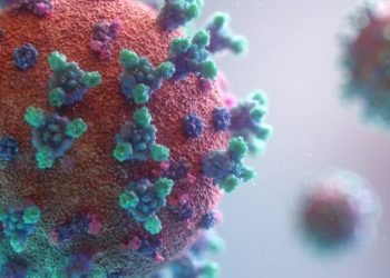 ساخلەمیا جیھانی: ڤایرۆسێ کۆڤید – ٢٠ دەھـ جاران ژ کۆڤید – ١٩ بلەزترە