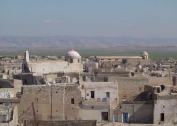 تللسقوف.. کەسەک ھات کوشتن و 2 برینداربوون