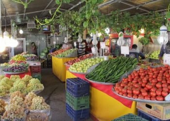 ئیراق ئێكه‌ ژ مه‌زنترین فرێكه‌رێن فێقى بۆ توركیا