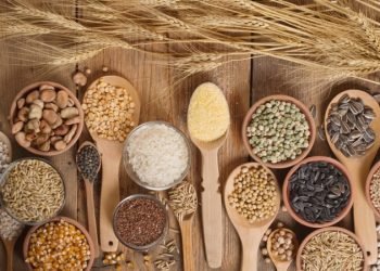 فاو: سالا ٢٠٢٠ێ بھایێ کەلوپەلێن خوارنێ ب رێژا ٣,١% بلند بوویە