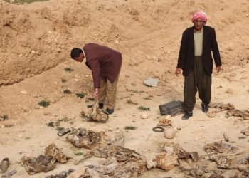 104 رۆفاتێن ئێزیدیێن قوربانیێن ده‌ستێ داعشێ دێ ل شنگالێ هێن ڤه‌شارتن