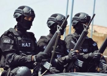 به‌رپرسه‌كێ داعشێ ل حه‌سه‌كێ‌ هاته‌ گرتن