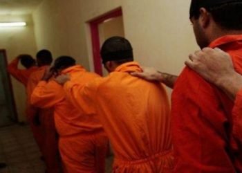 8 هزار حوكمێن سێداره‌دانێ ل ئیراقێ هه‌نه‌