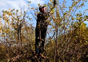 به‌روارى بالا.. كه‌زاخا سێڤان ده‌ستپێكرییه‌