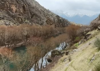 جهێن گەشت و گوزاری ل سنورێ ناوچه‌دارییا شێلادزێ هاتینە داگیرکرن