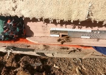 ل شێلادزێ ٨٠ مێشێن ھنگڤینی ب بەر تۆپبارانکرنا فرۆکەیێن تورکیا کەفتینه‌