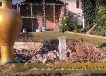 گه‌نجه‌كێ باتیفا مالا خوه‌ كرییه‌ باخچێ بلبلا