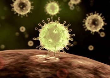 ساخله‌مییا ئیراقێ ئامارێن نوو یێن كۆرۆنایێ راگه‌هاندن