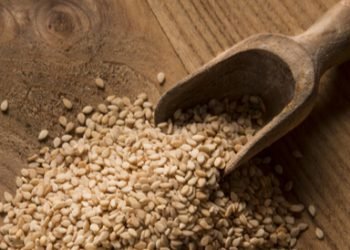 ئه‌و خارنێن شیرێ دایكان زێده‌ دكه‌ن