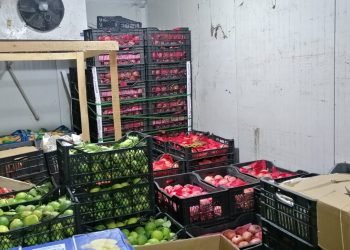 رۆژانە 1000 تەنێن فێقی و زەرزەواتی دھێنە دھۆکێ