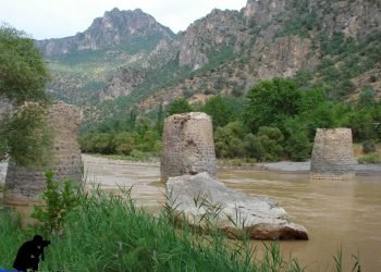 پرا بلبل.. شوونوارەکێ دێرین و پشتگوھخستی