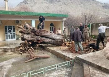 ب ته‌مه‌نترین دارا توو یێ هاته‌ بڕین