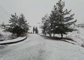 سه‌قایێ ئه‌ڤرۆ و سباهى ل هه‌رێما كوردستانێ