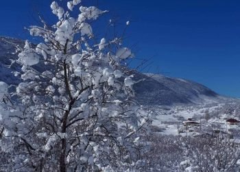 پێشنیازا فه‌ستیڤالا بەفرێ هاتیه‌ كرن