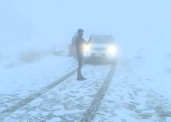 بیست کەسێن ئاسێ بوویى ل چیایێ گارەى هاتنە رزگارکرن