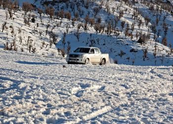 ڕێکێن پتریا گوندێن سنۆرێ باتیفا هاتنە گرتن