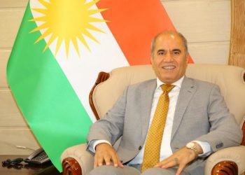 عه‌لى عه‌ونى: په‌كه‌كه‌ ئامیرێ ده‌ستێ توركیایه‌ بۆ داگیركرنا ئاخا مه‌