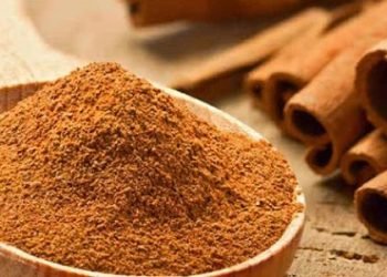 مفایێن دارچینێ بۆ كه‌سانێن د سه‌ر 40 سالان دا