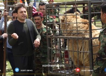 بلند بریفكانى: سالا بهێت دێ هژماره‌كا زێده‌تر یا هرچان ئازاد كه‌ین