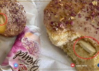 ل دهۆكێ حه‌ب د ناڤا کێکه‌كا ئیرانی دا هاته‌ دیتن