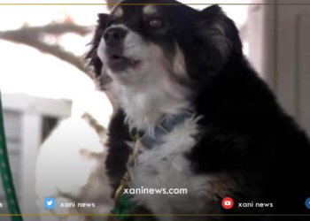 ٥ ملیۆن دۆلار بۆ سەیەکی مان