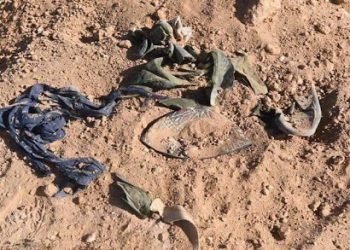 دێ رۆفاتێن شەهیدان ئیننه‌ڤه‌ هەرێما كوردستانێ