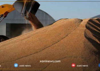 حکومه‌تا ئیراقێ 261 ملیار دینار بۆ‌ گەنمێ جۆتیاران خەرجكرن