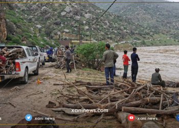 نێزیکی سەد پیکەئەپێن داران د رووبارێ شین دا ھاتنە ڤەگرتن