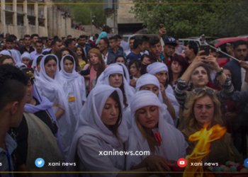 قائیدى: حكومه‌تا ئیراقێ د پرسا رزگاربوویان دا هاریكار نینه‌