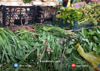 ژ به‌ر په‌كه‌كێ گیایێن بهارێ ل بازارێ شێلادزێ كێمبووینه‌