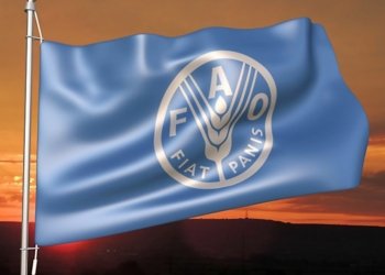 فاو: پترى چار ملیۆن کەسان ل ئیراقێ کێشا کێم خوارنێ هه‌یه‌