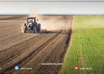 ئیراق سالانه‌ 100 هزار دۆنه‌مێن ئه‌ردێ چاندنێ ژ ده‌ست دده‌ت