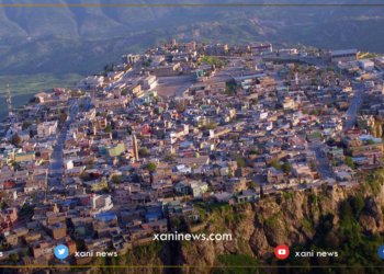 ئامێدیێ.. بلندترین رێژه‌یا توشبوون ب كۆرۆنایێ هاته‌ تۆماركرن