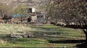 فرۆکەیەکا تورکیا ل زێوا شێخ پیرامووس کەفتە خوارێ