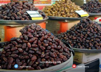 دهۆک..تەن ونیڤێن خۆرمێ هاتنە ژناڤبرن