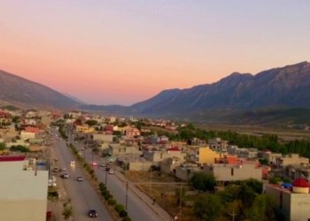 شێلادزێ.. هەسپەکى وەلاتیەک کوشت