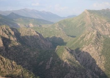 گوندێ دیشێشێ نەهاتییە چوولکرن