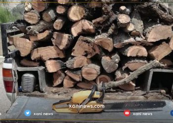 دارێن ئاقارێ سێ گوندان بڕین و هات ده‌سته‌سه‌ركرن