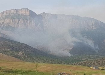 شارەزایەکێ لەشکەر بۆ خانی نیوز گرنگییا زنارا کێستە ئاشكرا دکەت