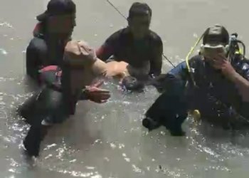 ته‌رمێ زارۆكێ 11 سالى هاته‌ دیتن