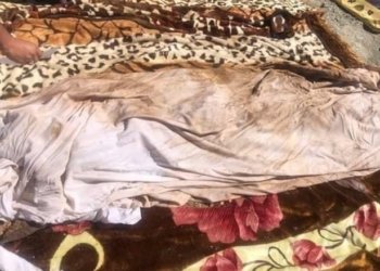 شنگال.. روفاتێن 11 كوردێن ئێزیدى هاتنه‌ دیتن