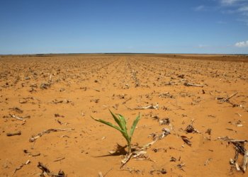 حكومه‌تا هه‌رێمێ: 2ملیار500 ملیۆن دیناران بۆ بابه‌تێ هشكه‌سالیێ دێ هێنه‌ خه‌رج كرن
