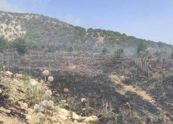 ژ ئه‌گه‌رێ توپبارانا تورکیا ئاگر به‌ربوویه‌ ئاقارێ چەندین گوندێن ناحیا کانى ماسێ