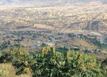 پەکەکێ ئاگر بەردا مالا وەلاتییەکى