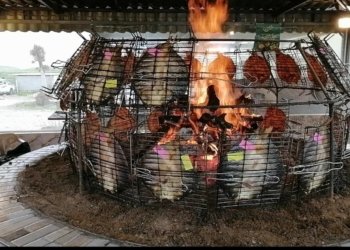 به‌رده‌ره‌ش: 17 كه‌س ژ ئه‌گه‌رێ خوارنا ماسى ژه‌هراوى بوون