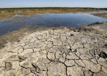 ب ئه‌گه‌رێ هشكه‌ سالیێ زیان گه‌هشتییه‌ 7 ملیۆن كه‌سان ل عێراقێ