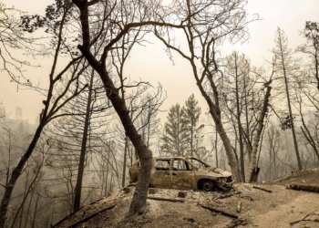 ل ئه‌مریكا روودانێن ئاگربه‌بوونێ زێده‌بووینه‌