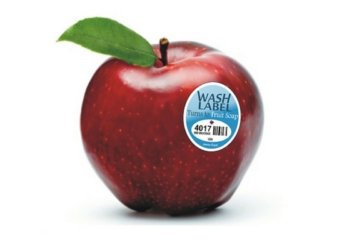 هژمار‌ و نیشانێن لسه‌ر فێقى رامانا چ دده‌ن؟