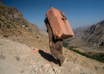 كۆلبه‌ره‌كێ كورد هاته‌ كۆشتن