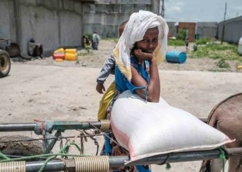 نەتەوێن ئێكگرتى: رێژا برسیبوونێ  ل سالا بورى 9.1% زێده‌بوویه‌